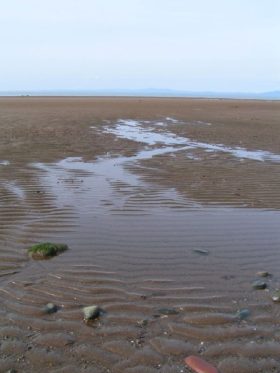 Low Tide